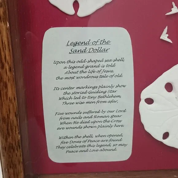 VNT Legend Of The Sand Dollar Maplewood Frame RED Shadowbox Decor Art Coastal